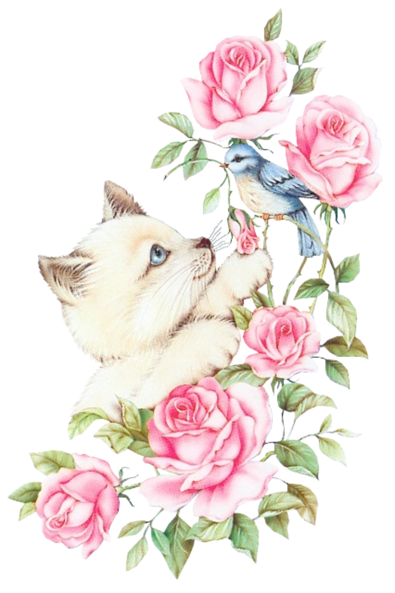 Kitten_and_Roses_2_LDM.png