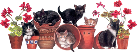 MJR_kittens-in-flowerpots_s.png