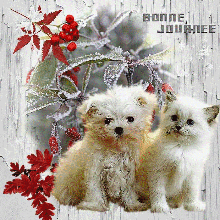 Bonne journée à toutes et tous