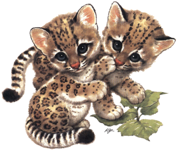 rm_more_endangered_baby_animals_pg01_ocelots_eunice_dedinelle.png