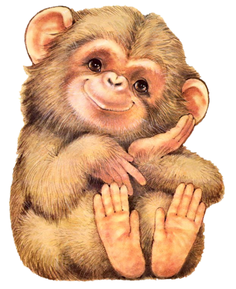 sweet_sitter_monkey-_-ded.png